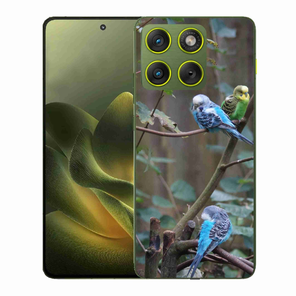 Zselés borító mmCase a Motorola Edge 70-hez - papagájok az ágon