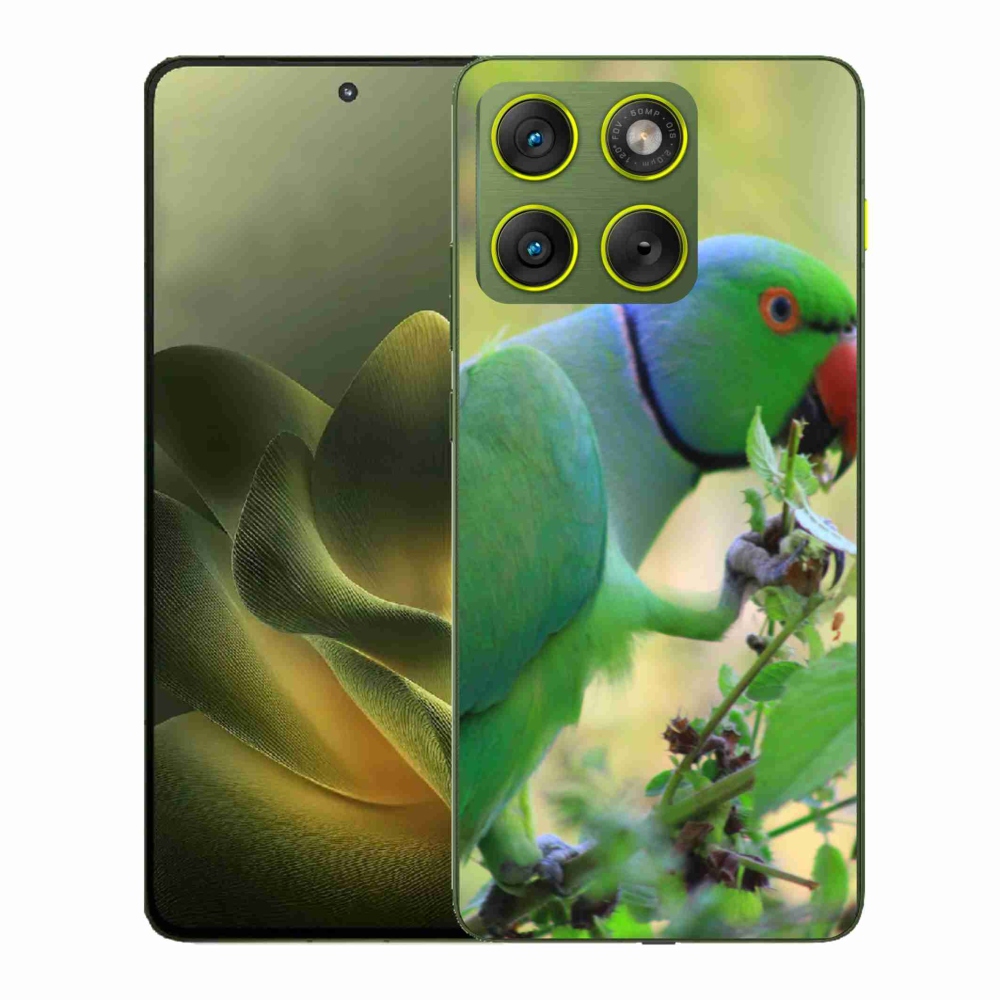 Zselés borítás mmCase a Motorola Edge 70 készülékhez - papagáj alexandr