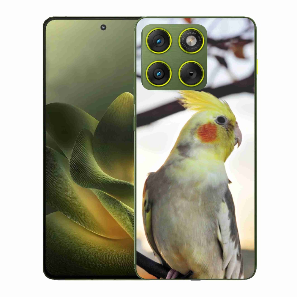Zselés borítás mmCase Motorola Edge 70 készülékhez - papagáj korela