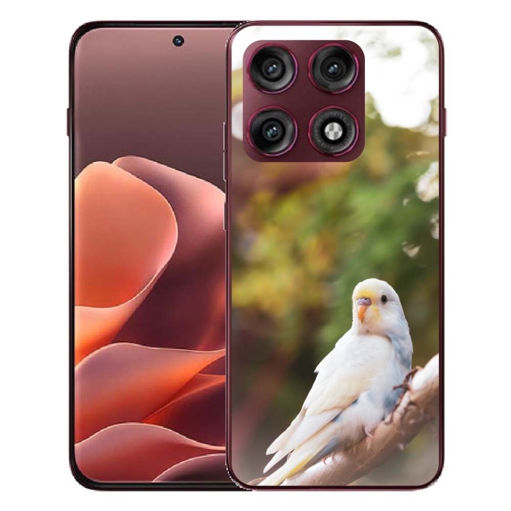 mmCase gél tok a Motorola Edge 70 Pro-hoz – fehér papagáj