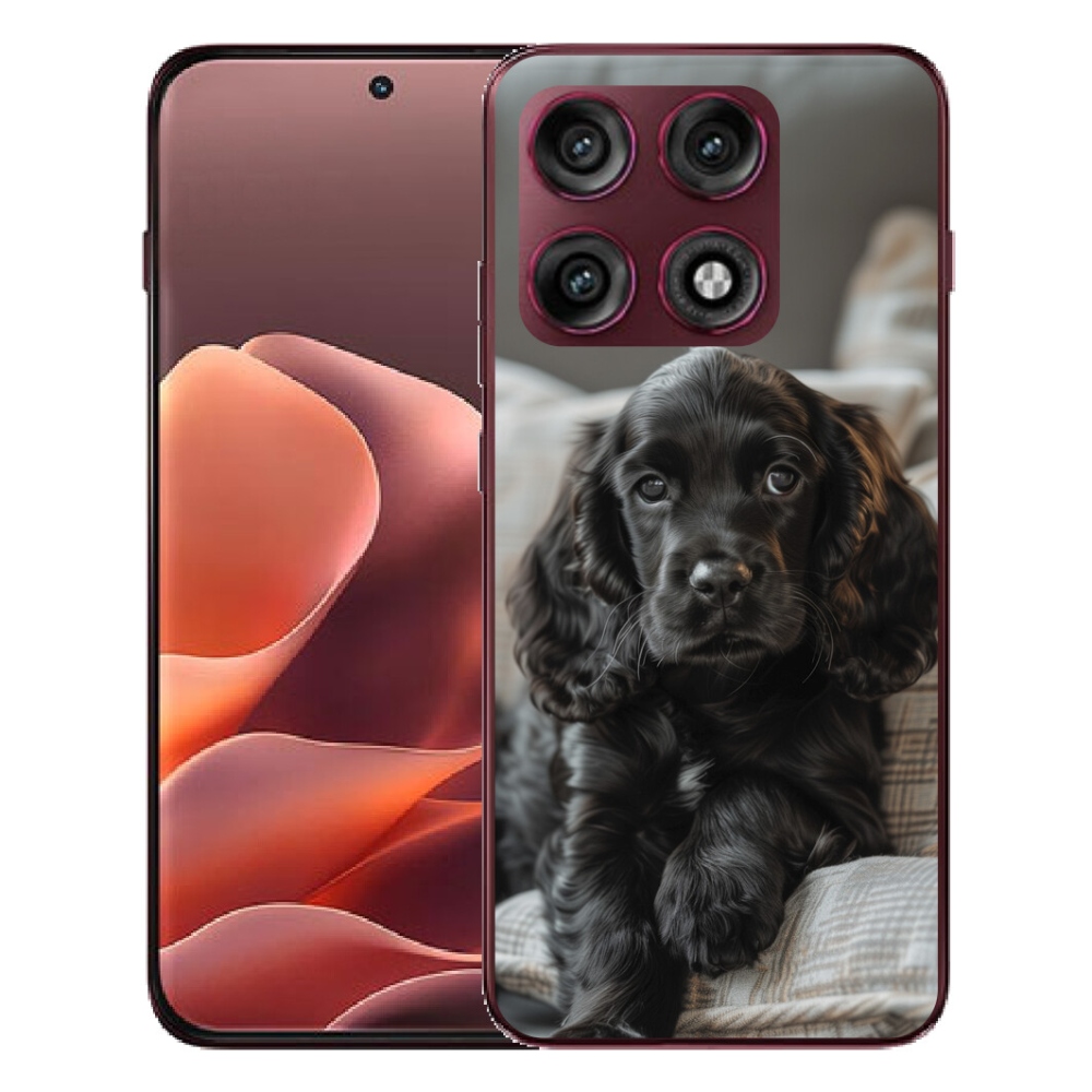 mmCase géltok a Motorola Edge 70 Pro-hoz – angol cocker spániel