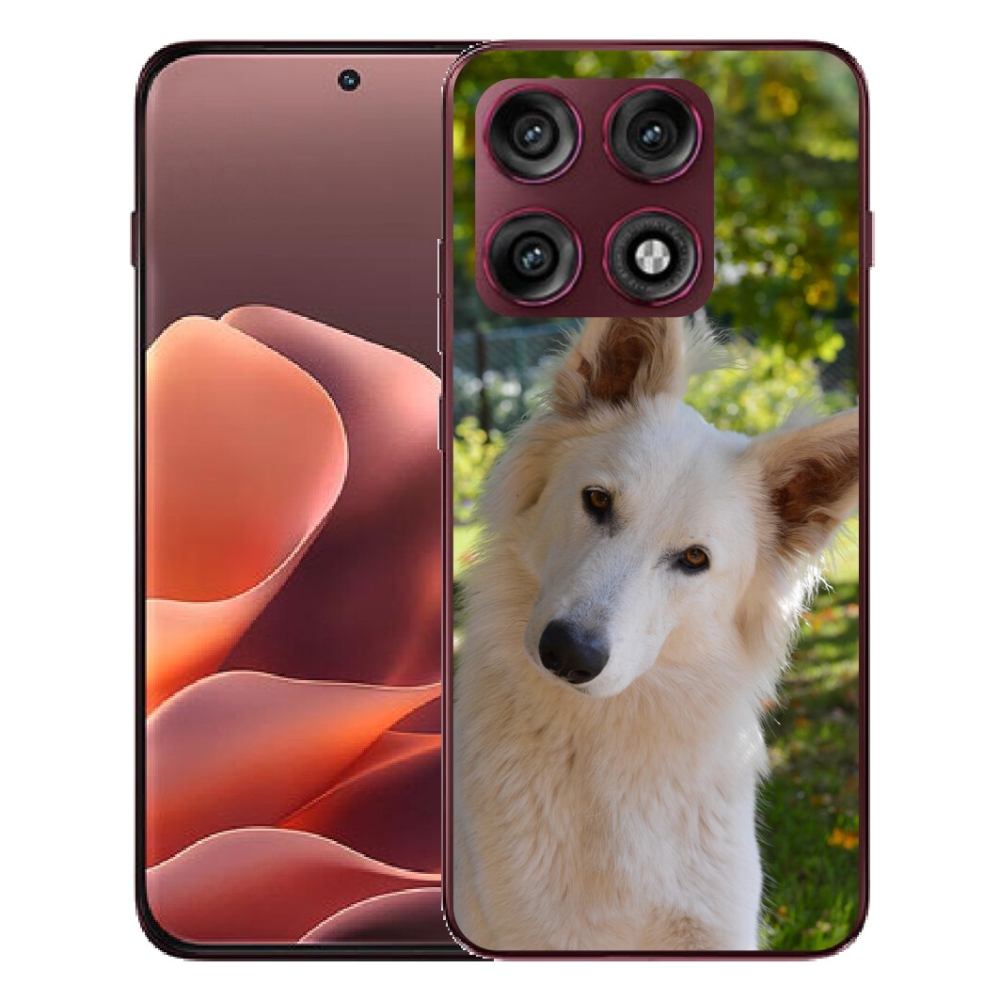 mmCase gél tok a Motorola Edge 70 Pro-hoz – fehér svájci juhászkutya 1