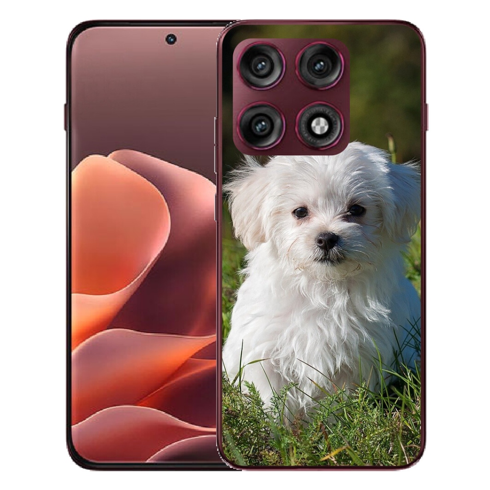 mmCase gél tok a Motorola Edge 70 Pro-hoz – bichon frisé