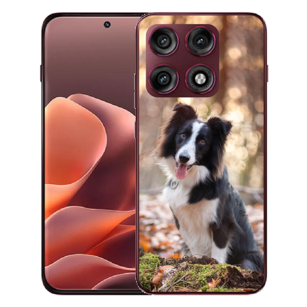 mmCase gél tok a Motorola Edge 70 Pro-hoz – border collie 1