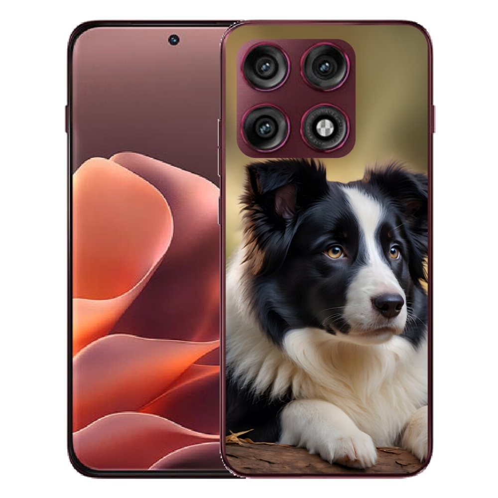 mmCase géltok a Motorola Edge 70 Pro-hoz – border collie 2