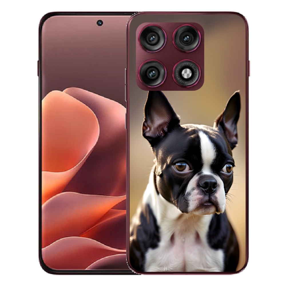 mmCase gél tok a Motorola Edge 70 Pro-hoz – bostoni terrier