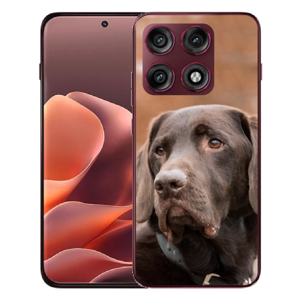mmCase gél tok a Motorola Edge 70 Pro-hoz – barna labrador