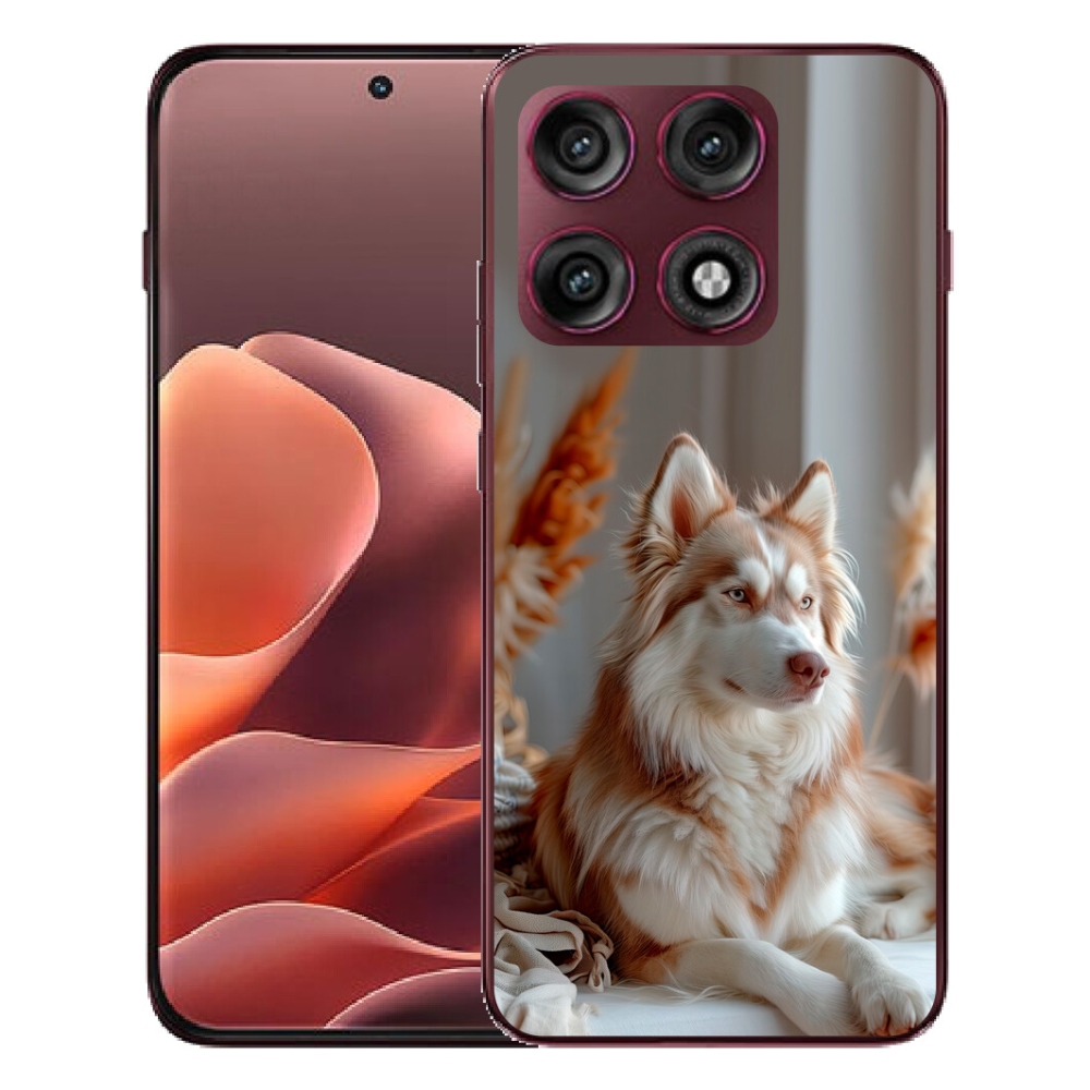 mmCase gélhuzat a Motorola Edge 70 Pro-hoz – nyugodt szibériai husky