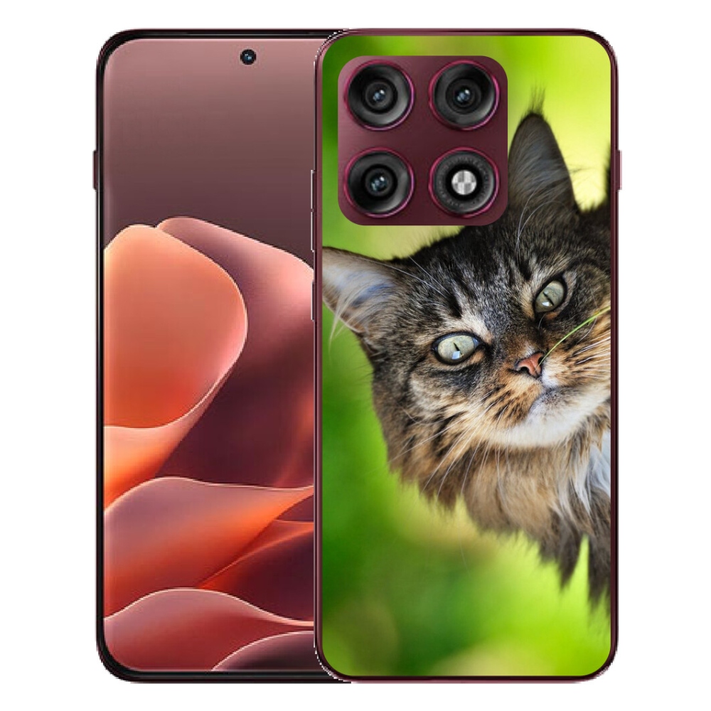 mmCase géltok a Motorola Edge 70 Pro-hoz – macska 3