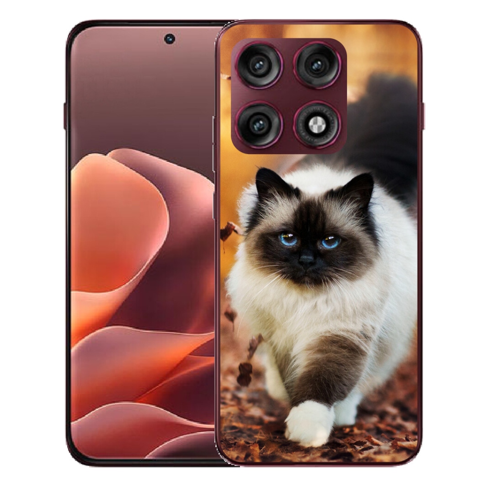 mmCase gél tok a Motorola Edge 70 Pro-hoz – macska