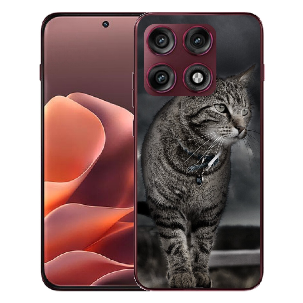 mmCase géltok a Motorola Edge 70 Pro-hoz – macska