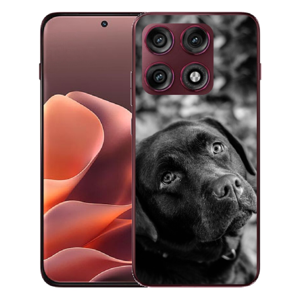 mmCase géltok a Motorola Edge 70 Pro-hoz – labrador