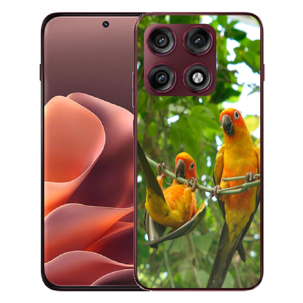 mmCase géltok a Motorola Edge 70 Pro-hoz – aratinga papagájok