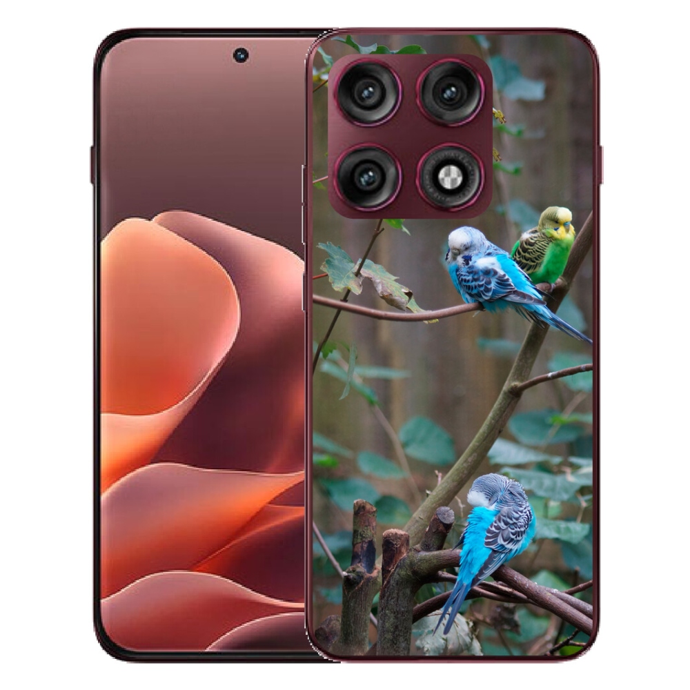 mmCase gél tok a Motorola Edge 70 Pro-hoz – papagájok egy ágon