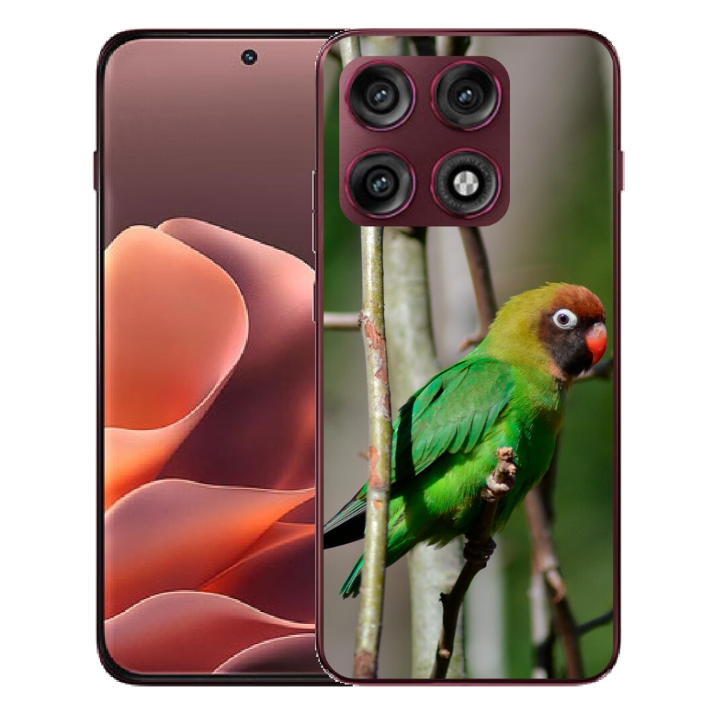 mmCase gélhuzat a Motorola Edge 70 Pro-hoz – agapornis papagáj
