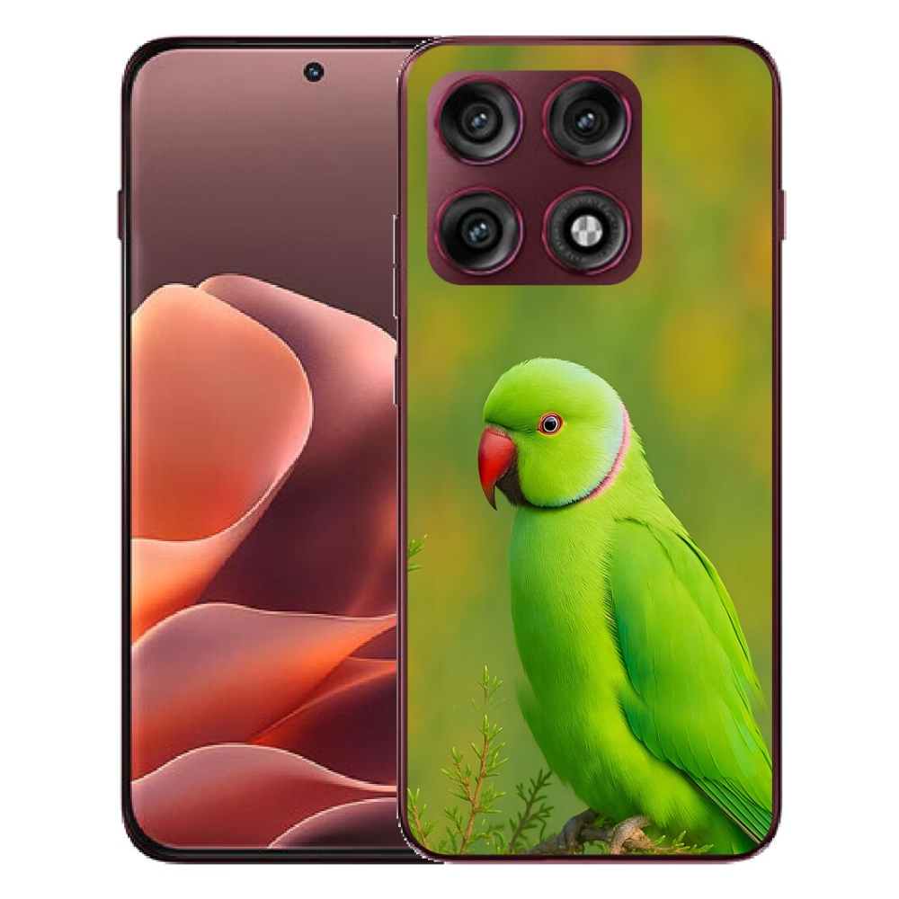 mmCase gélhuzat a Motorola Edge 70 Pro-hoz – alexandri papagáj 2