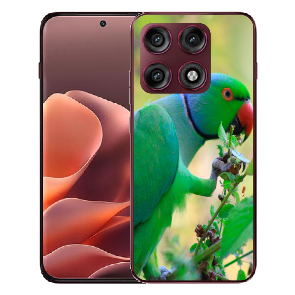 mmCase géltok a Motorola Edge 70 Pro-hoz – alexandri papagáj