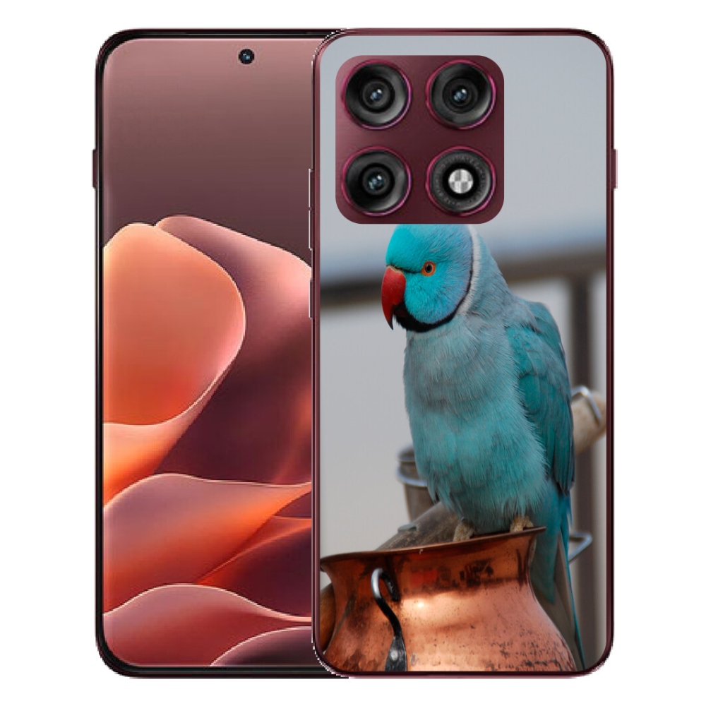 mmCase géltok a Motorola Edge 70 Pro-hoz – kék alexandri papagáj