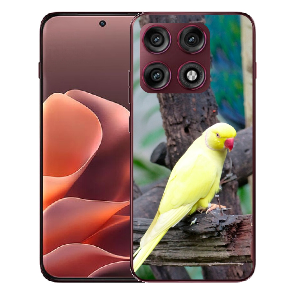 mmCase gél tok a Motorola Edge 70 Pro-hoz – sárga alexandri papagáj