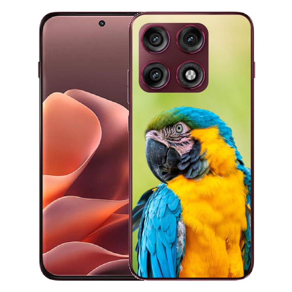 mmCase géltok a Motorola Edge 70 Pro-hoz – ara papagáj 2
