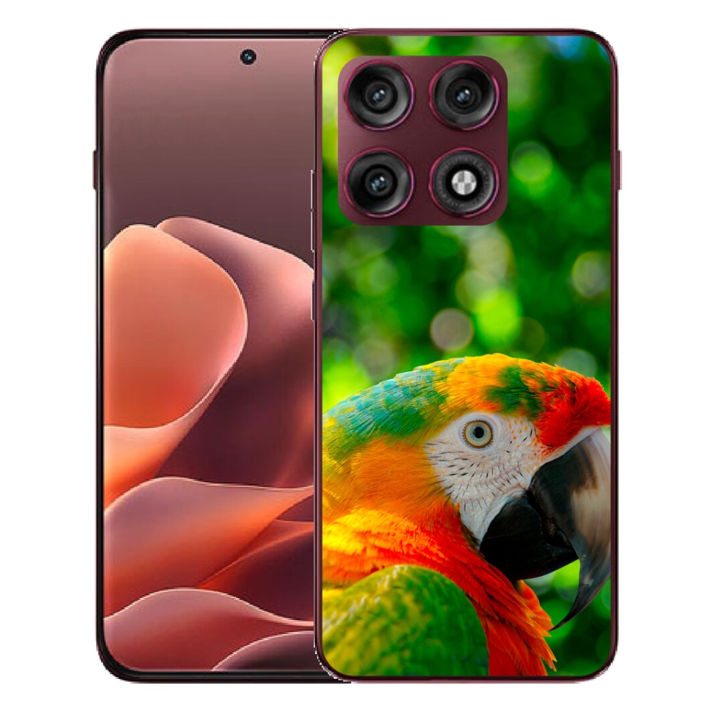 mmCase géltok a Motorola Edge 70 Pro-hoz – ara papagáj 3