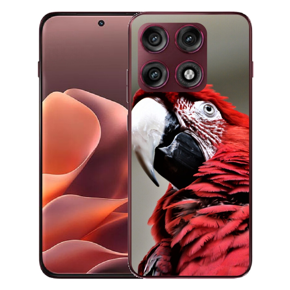 mmCase géltok a Motorola Edge 70 Pro-hoz – vörös ara papagáj