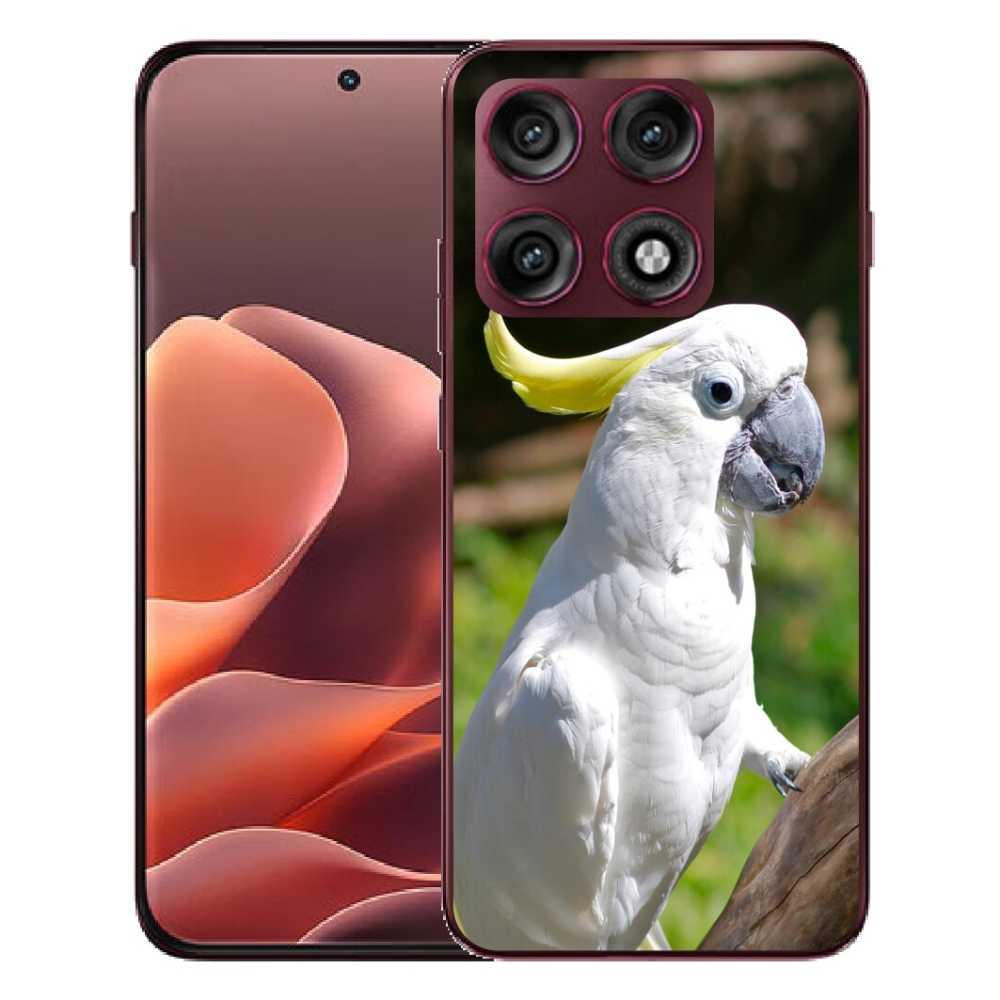 mmCase géltok a Motorola Edge 70 Pro-hoz – kakadu papagáj 2