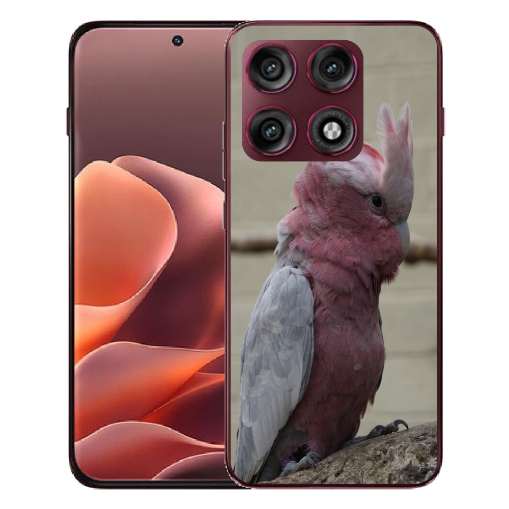 mmCase géltok a Motorola Edge 70 Pro-hoz – rózsaszín kakadu papagáj
