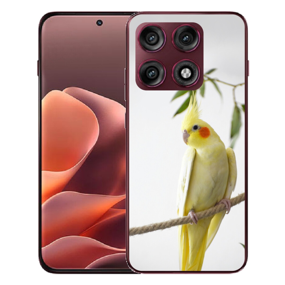 mmCase gél tok a Motorola Edge 70 Pro-hoz – tollas papagáj