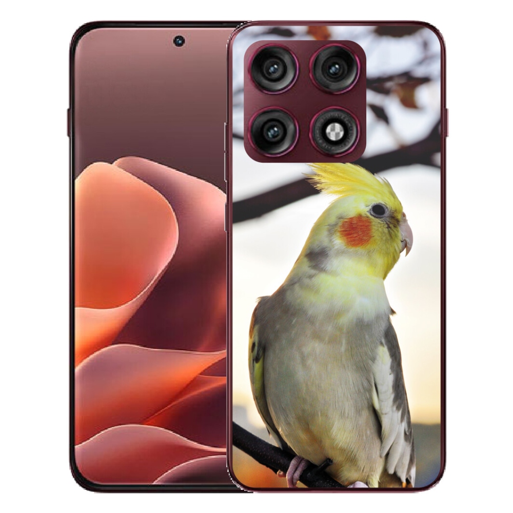 mmCase géltok a Motorola Edge 70 Pro-hoz – korella papagáj