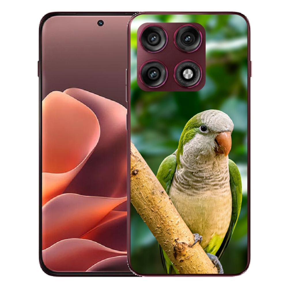 mmCase géltok a Motorola Edge 70 Pro-hoz – papagáj és szerzetes