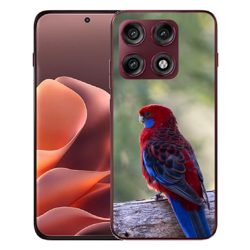 mmCase gél tok a Motorola Edge 70 Pro-hoz – rosella papagáj
