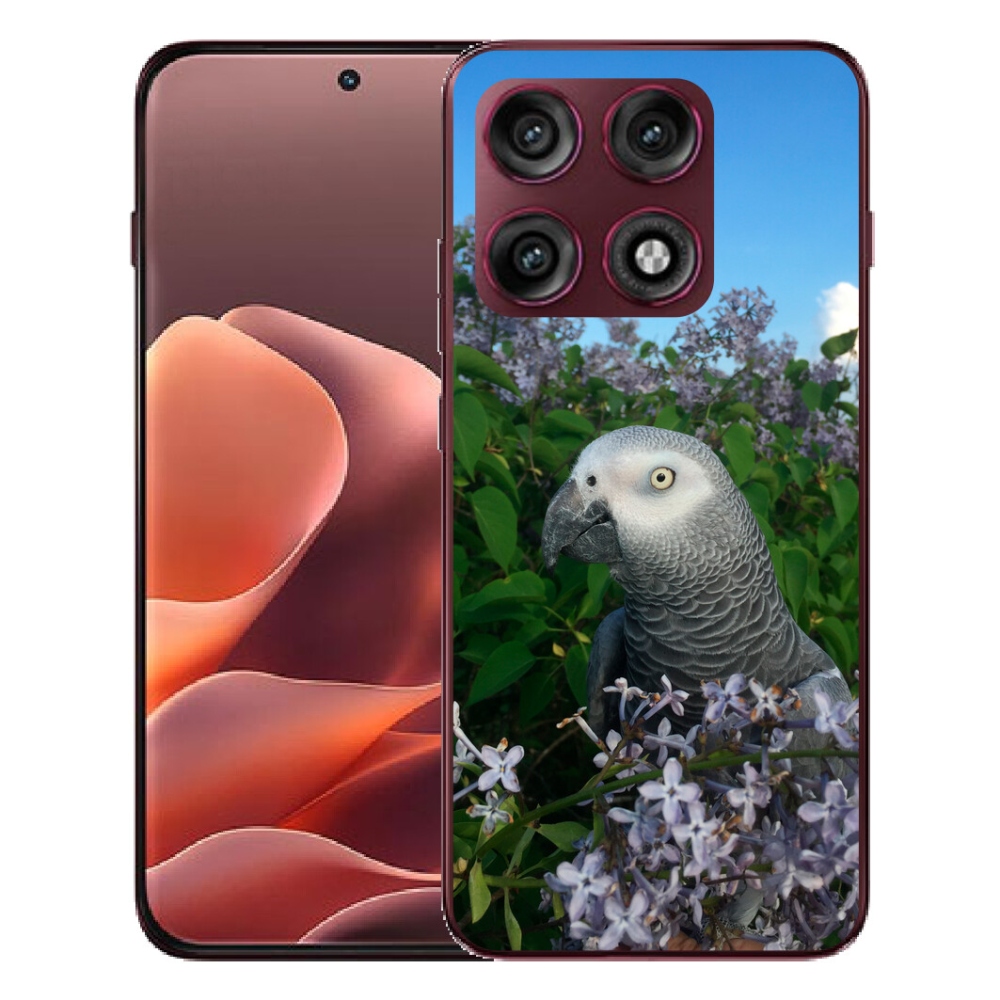 mmCase géltok a Motorola Edge 70 Pro-hoz – szalakóta
