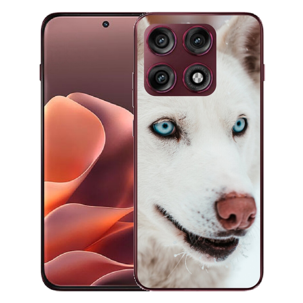 mmCase géltok a Motorola Edge 70 Pro-hoz – kutyaszemszögből