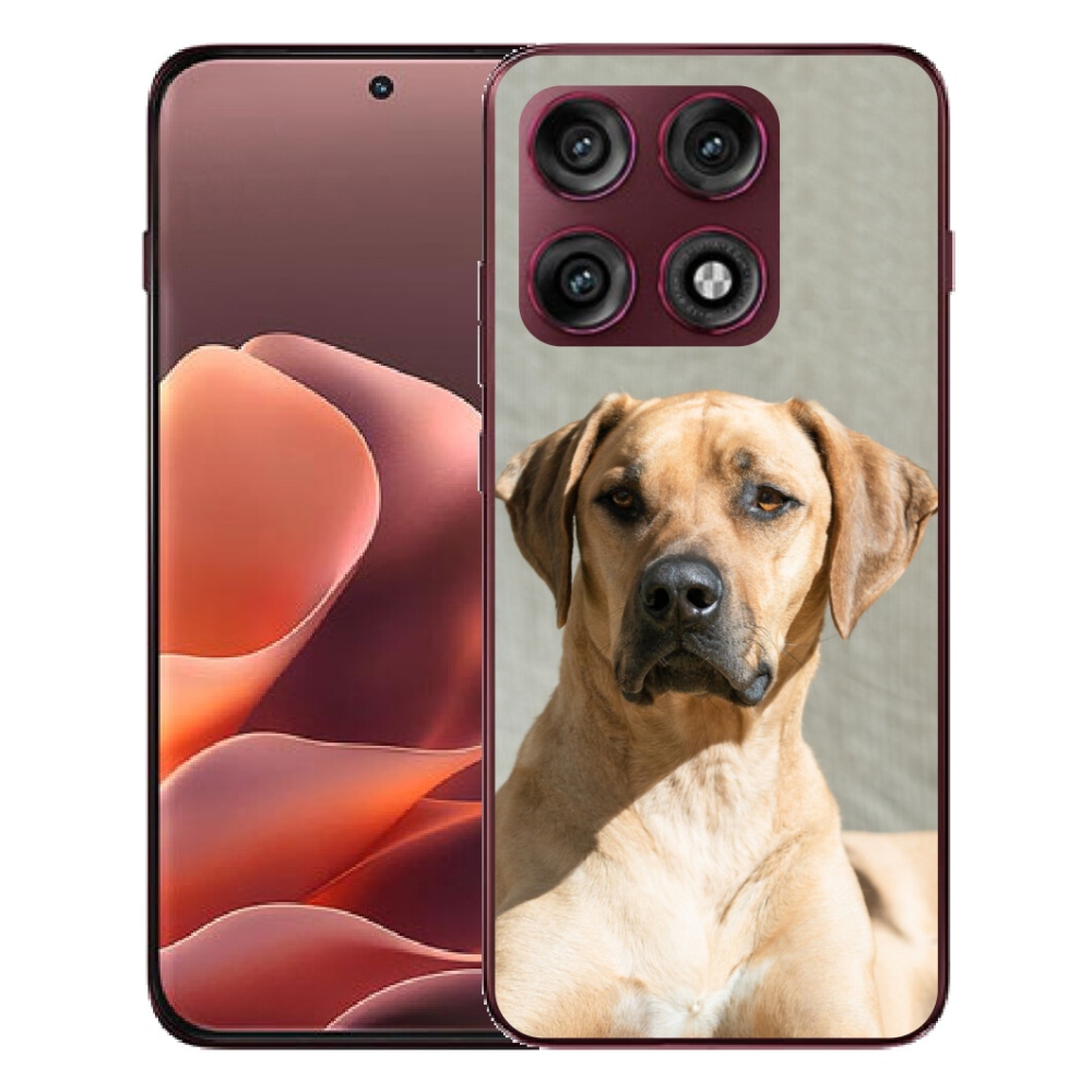 mmCase gél tok a Motorola Edge 70 Pro-hoz – ridgeback