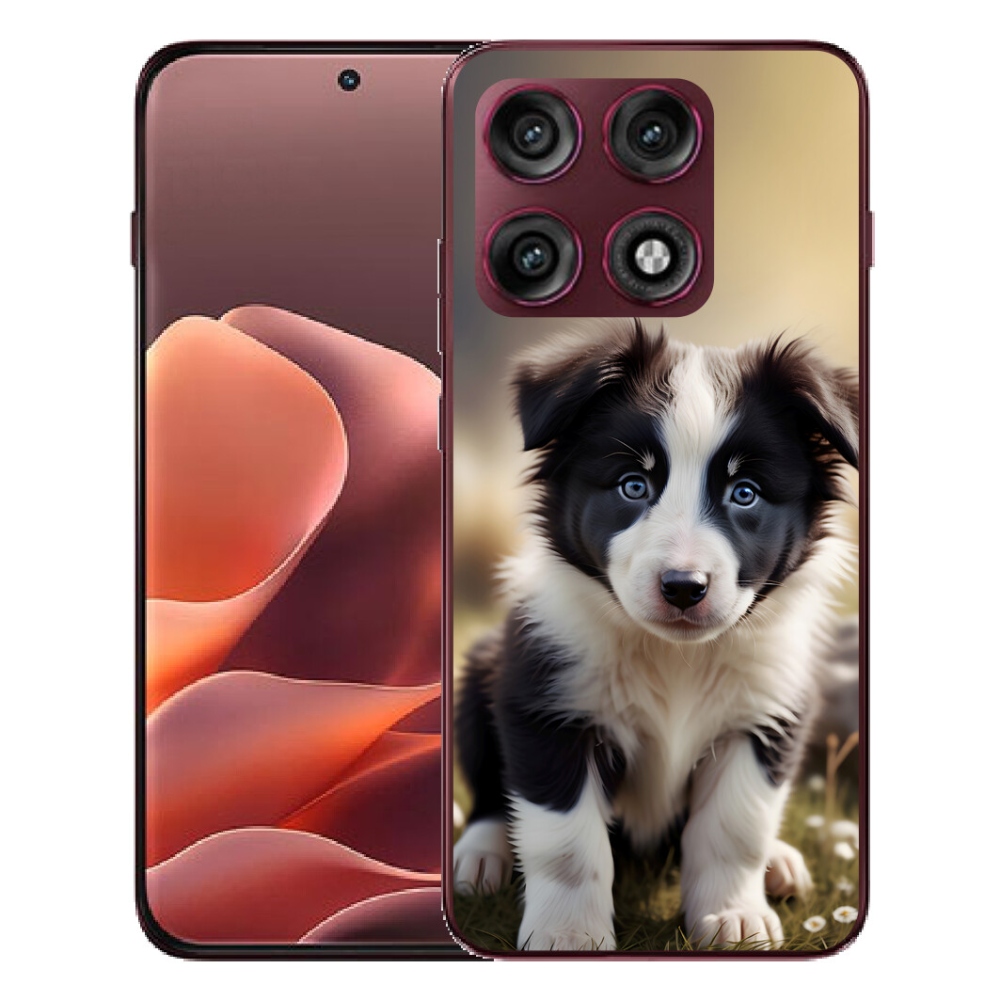 mmCase gél tok a Motorola Edge 70 Pro-hoz – aranyos border collie