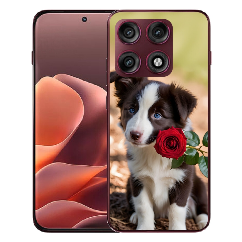 mmCase gél tok a Motorola Edge 70 Pro-hoz – aranyos border collie rózsával