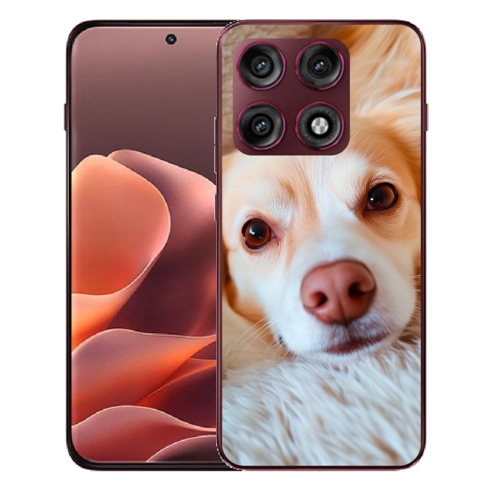 mmCase gél tok a Motorola Edge 70 Pro-hoz – Aranyos csivava