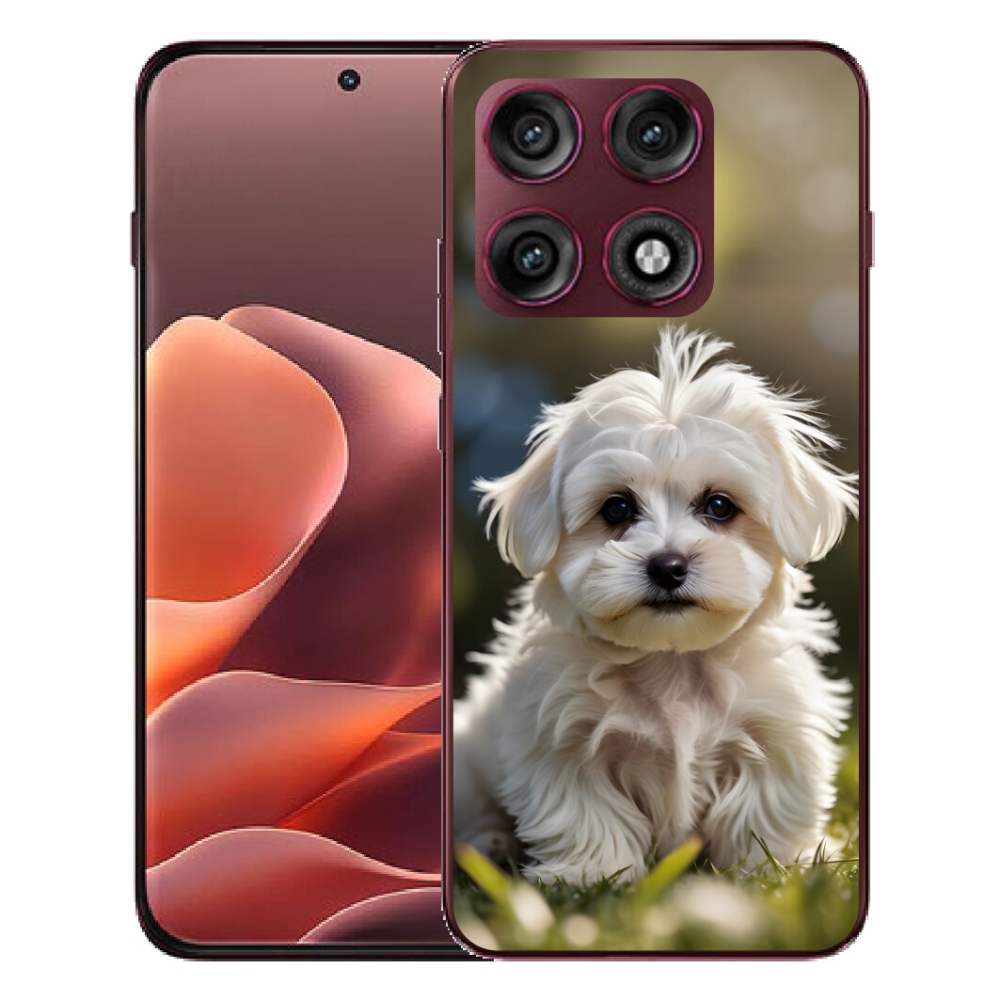mmCase gél tok a Motorola Edge 70 Pro-hoz – aranyos máltai kutyus