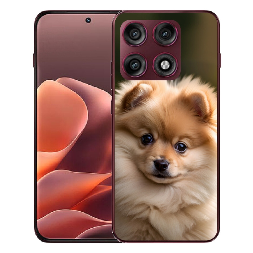 mmCase géltok a Motorola Edge 70 Pro-hoz – aranyos pomerániai 2