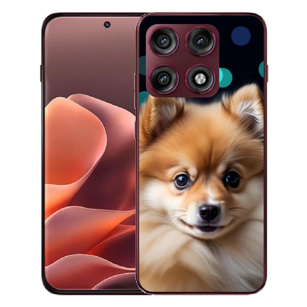 mmCase géltok a Motorola Edge 70 Pro-hoz – aranyos pomerániai