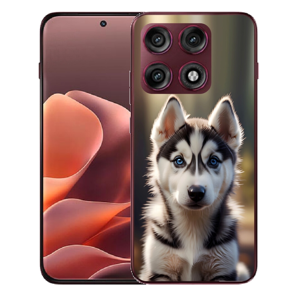mmCase géltok a Motorola Edge 70 Pro-hoz – aranyos szibériai husky