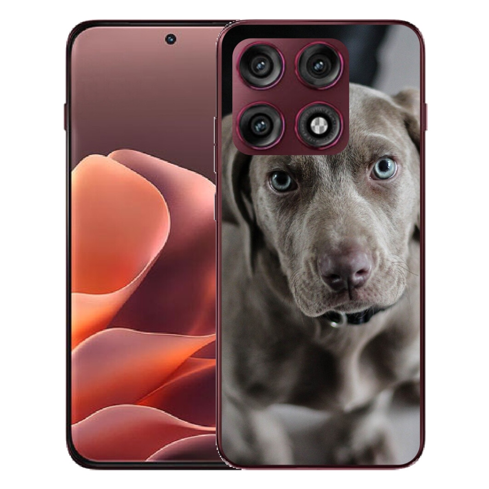 mmCase géltok a Motorola Edge 70 Pro-hoz – weimari vizsla