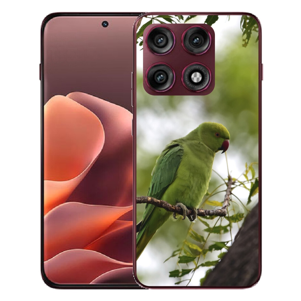 mmCase géltok a Motorola Edge 70 Pro-hoz – zöld papagáj