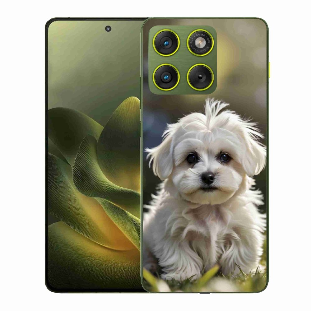 Zselés borítás mmCase a Motorola Edge 70 készülékhez - aranyos máltai kutya