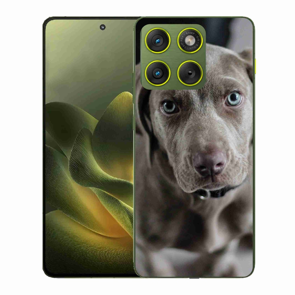 Zselés borítás mmCase a Motorola Edge 70 készülékhez - Weimaraner