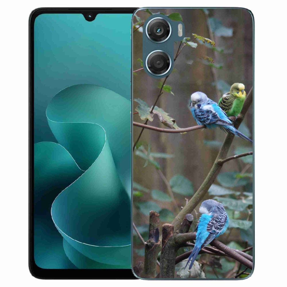Zselés borítás mmCase a Motorola G06/G06 Power készülékhez - papagájok az ágon