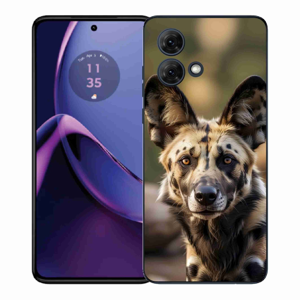 Gél borítás mmCase a Motorola Moto G84 5G - Afrikai vadkutya számára