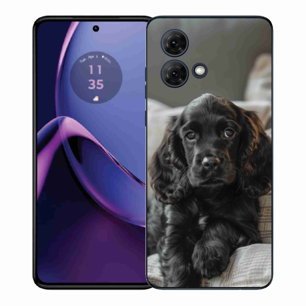 Zselés borítás mmCase a Motorola Moto G84 5G készülékhez - Angol Cocker Spaniel