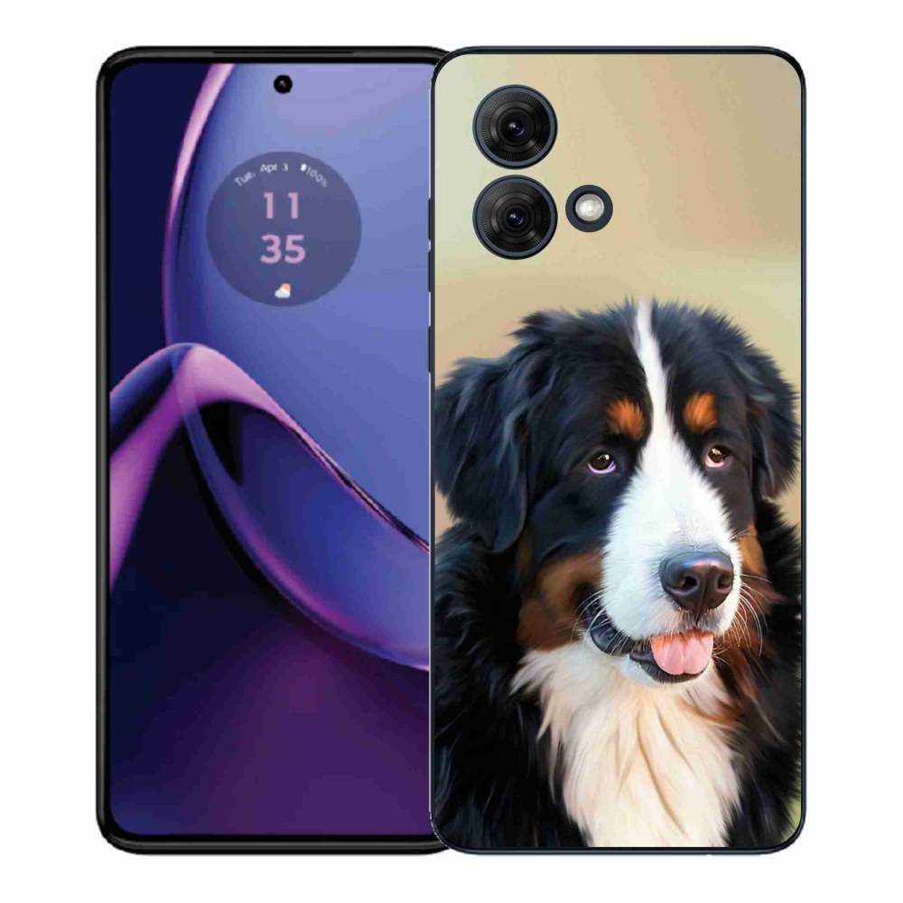 Zselés borítás mmCase Motorola Moto G84 5G - Berni hegyi kutya számára